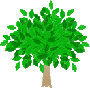 ｔｒｅｅ
