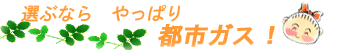 選ぶなら、ヤッパリ都市ガス